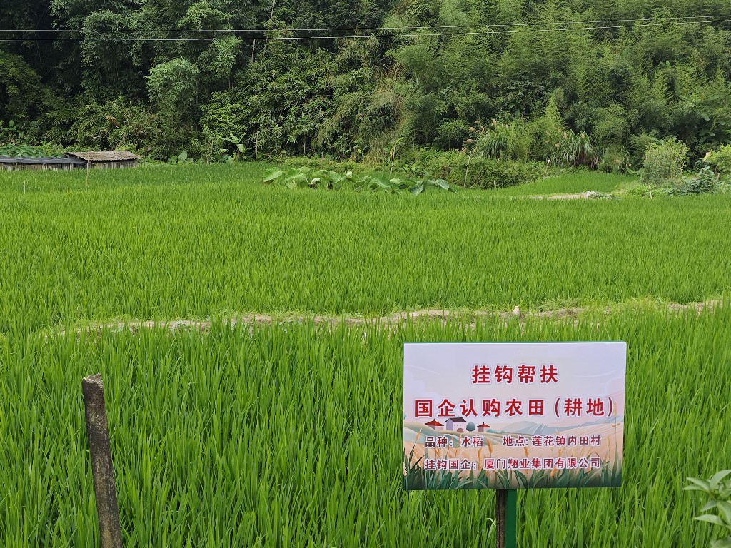 挂钩帮扶~1